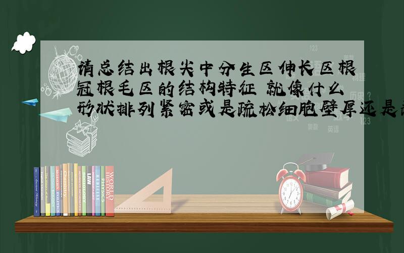 请总结出根尖中分生区伸长区根冠根毛区的结构特征 就像什么形状排列紧密或是疏松细胞壁厚还是薄