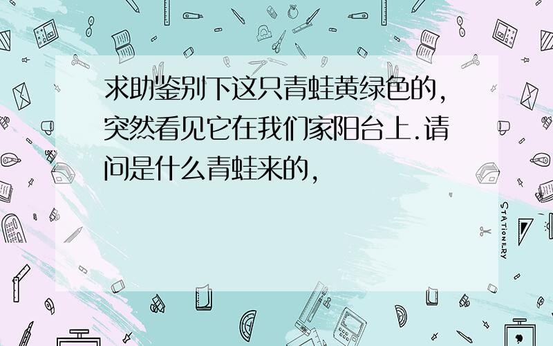 求助鉴别下这只青蛙黄绿色的,突然看见它在我们家阳台上.请问是什么青蛙来的,