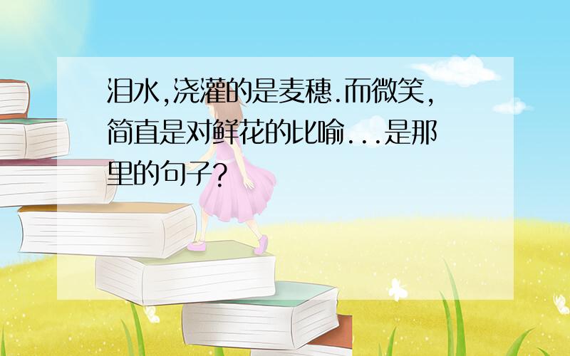 泪水,浇灌的是麦穗.而微笑,简直是对鲜花的比喻...是那里的句子?