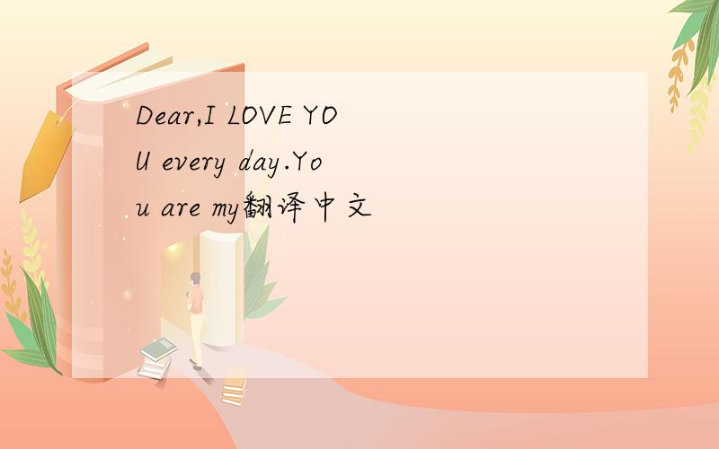 Dear,I LOVE YOU every day.You are my翻译中文