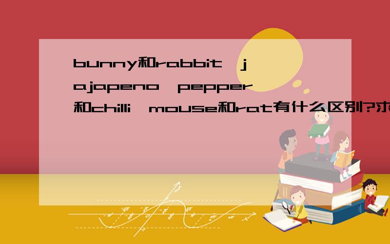 bunny和rabbit,jajapeno,pepper和chilli,mouse和rat有什么区别?求解!