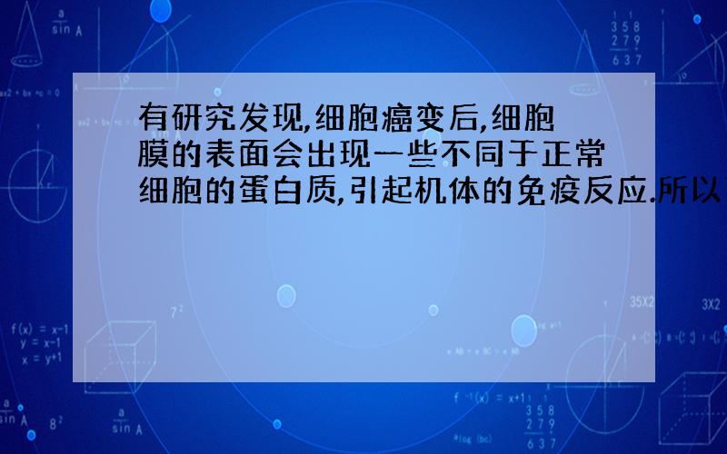 有研究发现,细胞癌变后,细胞膜的表面会出现一些不同于正常细胞的蛋白质,引起机体的免疫反应.所以可以给癌症病人输入淋巴因子