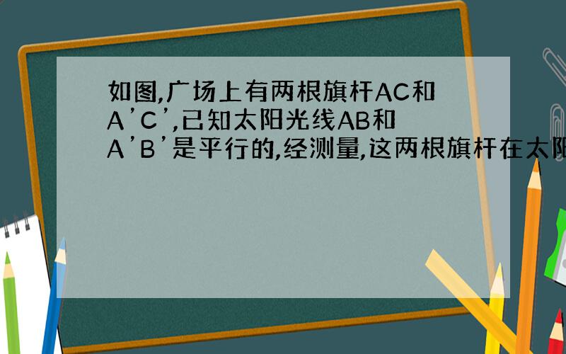 如图,广场上有两根旗杆AC和A’C’,已知太阳光线AB和A’B’是平行的,经测量,这两根旗杆在太阳光照射下的影子是一样的