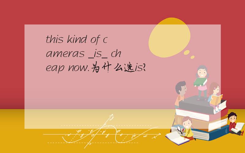 this kind of cameras _is_ cheap now.为什么选is?