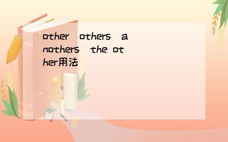 other\others\anothers\the other用法