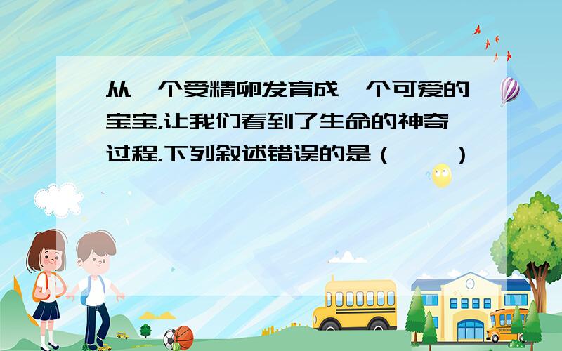 从一个受精卵发育成一个可爱的宝宝，让我们看到了生命的神奇过程，下列叙述错误的是（　　）