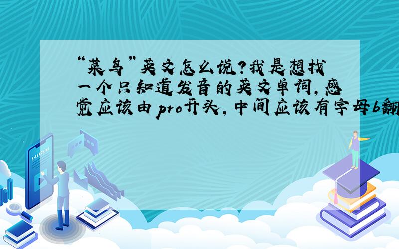 “菜鸟”英文怎么说?我是想找一个只知道发音的英文单词,感觉应该由pro开头,中间应该有字母b翻成中文应该是“菜鸟”之类的