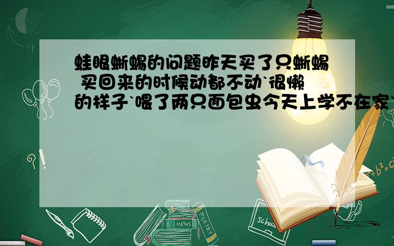 蛙眼蜥蜴的问题昨天买了只蜥蜴 买回来的时候动都不动`很懒的样子`喂了两只面包虫今天上学不在家`回家发现很异常 不停的在笼