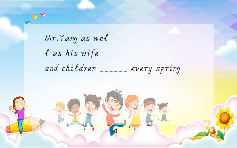 Mr.Yang as well as his wife and children ______ every spring