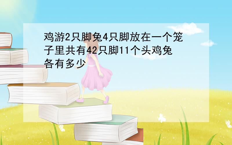 鸡游2只脚兔4只脚放在一个笼子里共有42只脚11个头鸡兔各有多少