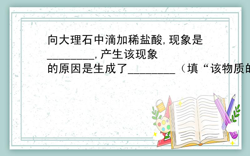 向大理石中滴加稀盐酸,现象是________,产生该现象的原因是生成了________（填“该物质的名称”