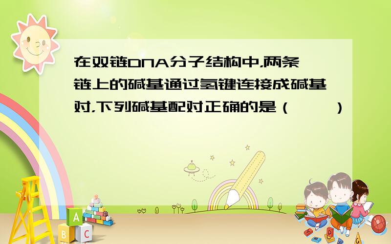 在双链DNA分子结构中，两条链上的碱基通过氢键连接成碱基对，下列碱基配对正确的是（　　）