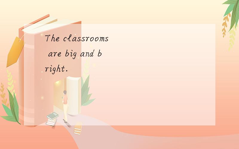 The classrooms are big and bright.