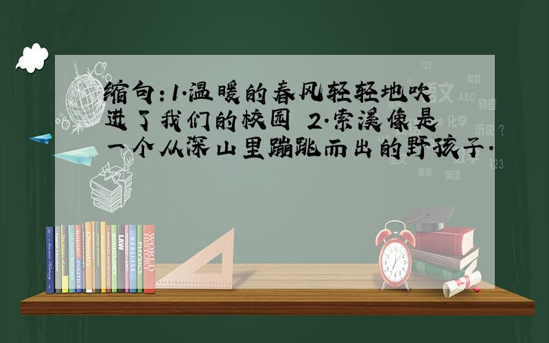 缩句：1.温暖的春风轻轻地吹进了我们的校园 2.索溪像是一个从深山里蹦跳而出的野孩子.