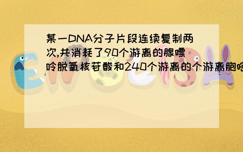 某一DNA分子片段连续复制两次,共消耗了90个游离的腺嘌呤脱氧核苷酸和240个游离的个游离胞嘧啶脱氧核苷酸