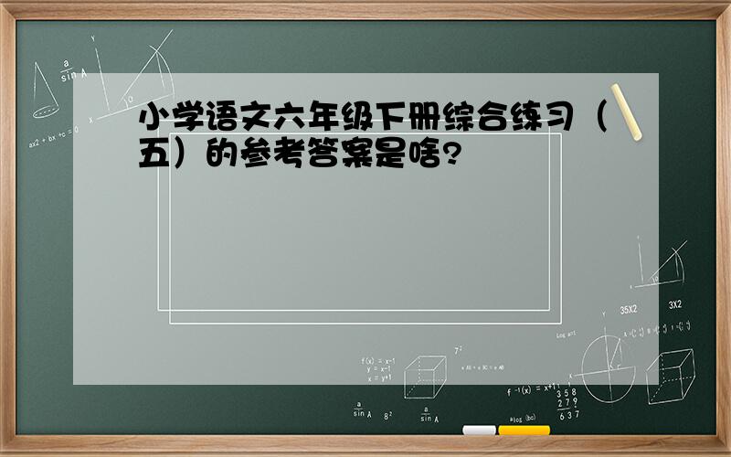 小学语文六年级下册综合练习（五）的参考答案是啥?