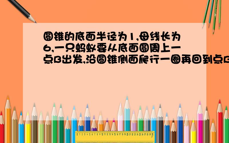 圆锥的底面半径为1,母线长为6,一只蚂蚁要从底面圆周上一点B出发,沿圆锥侧面爬行一圈再回到点B,问它爬行的最短路线是多少