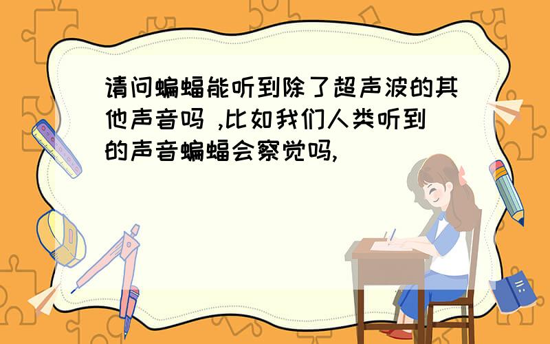 请问蝙蝠能听到除了超声波的其他声音吗 ,比如我们人类听到的声音蝙蝠会察觉吗,