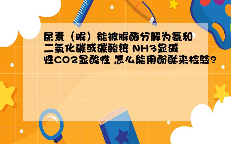 尿素（脲）能被脲酶分解为氨和二氧化碳或碳酸铵 NH3显碱性CO2显酸性 怎么能用酚酞来检验?