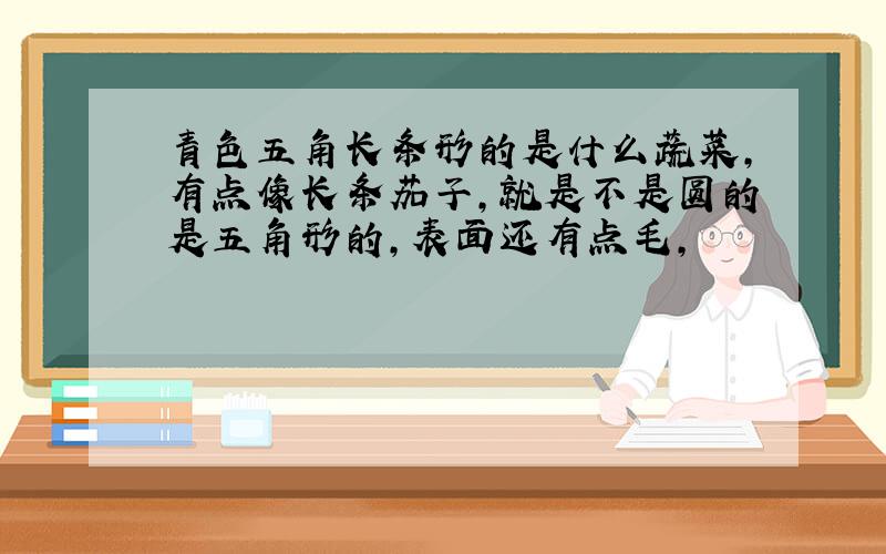 青色五角长条形的是什么蔬菜,有点像长条茄子,就是不是圆的是五角形的,表面还有点毛,