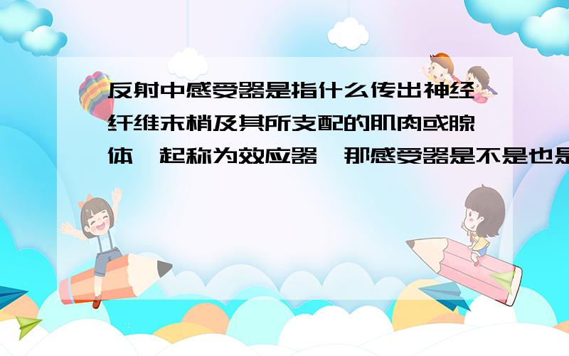 反射中感受器是指什么传出神经纤维末梢及其所支配的肌肉或腺体一起称为效应器,那感受器是不是也是末端加肌肉等?