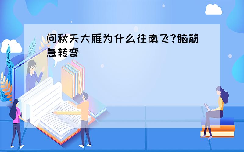 问秋天大雁为什么往南飞?脑筋急转弯