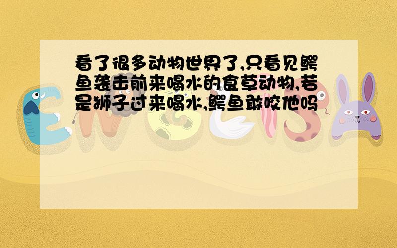 看了很多动物世界了,只看见鳄鱼袭击前来喝水的食草动物,若是狮子过来喝水,鳄鱼敢咬他吗