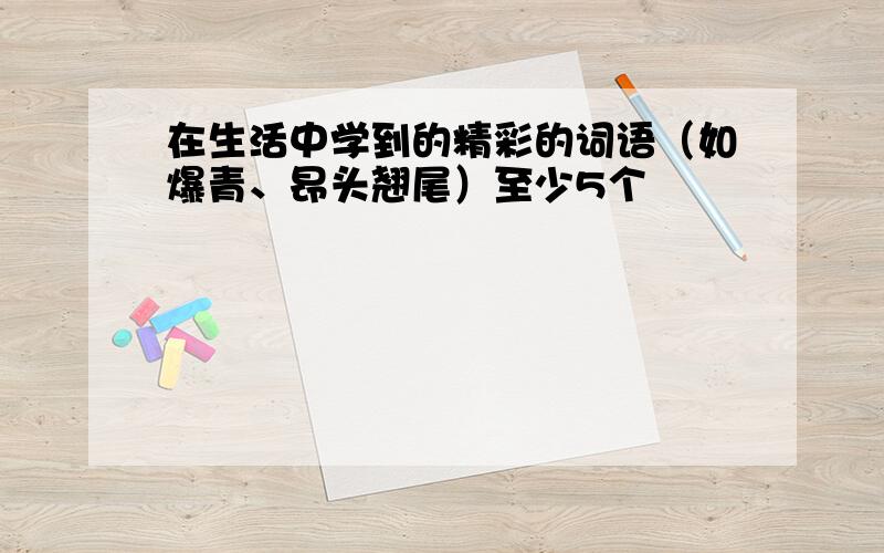 在生活中学到的精彩的词语（如爆青、昂头翘尾）至少5个