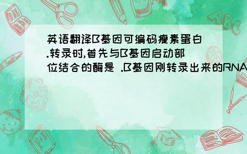 英语翻译B基因可编码瘦素蛋白.转录时,首先与B基因启动部位结合的酶是 .B基因刚转录出来的RNA全长有4500个碱基,而