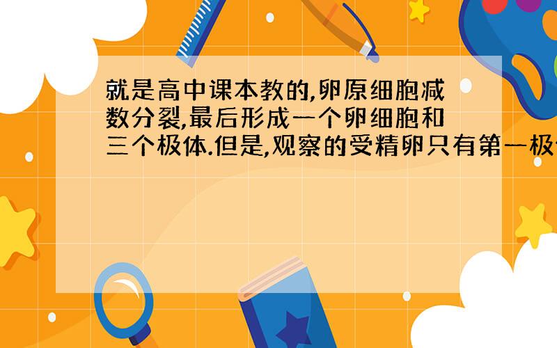 就是高中课本教的,卵原细胞减数分裂,最后形成一个卵细胞和三个极体.但是,观察的受精卵只有第一极体和第二极体,这是为什么呢