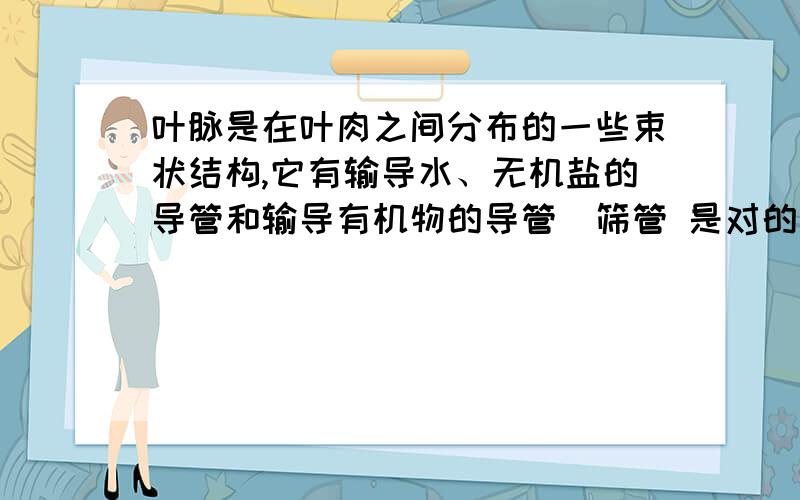 叶脉是在叶肉之间分布的一些束状结构,它有输导水、无机盐的导管和输导有机物的导管_筛管 是对的嘛/?