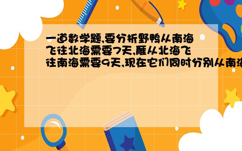 一道数学题,要分析野鸭从南海飞往北海需要7天,雁从北海飞往南海需要9天,现在它们同时分别从南海、北海起飞,多少天后能够相