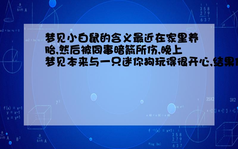 梦见小白鼠的含义最近在家里养胎,然后被同事暗箭所伤,晚上梦见本来与一只迷你狗玩得很开心,结果他突然之间从阳台掉下去我才发