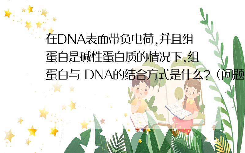 在DNA表面带负电荷,并且组蛋白是碱性蛋白质的情况下,组蛋白与 DNA的结合方式是什么?（问题补充：麻...