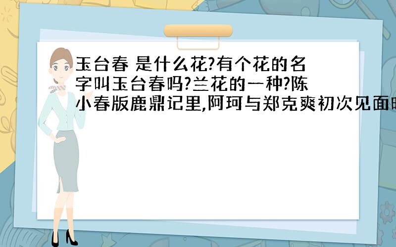 玉台春 是什么花?有个花的名字叫玉台春吗?兰花的一种?陈小春版鹿鼎记里,阿珂与郑克爽初次见面时提到的那个花