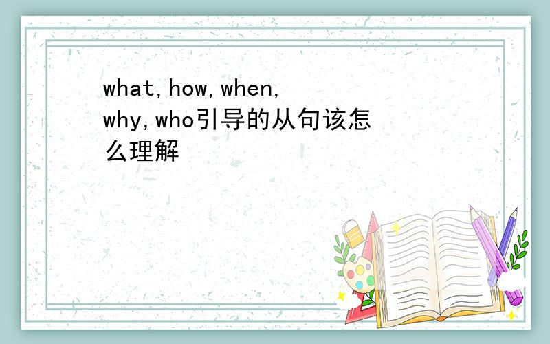 what,how,when,why,who引导的从句该怎么理解