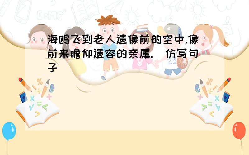 海鸥飞到老人遗像前的空中,像前来瞻仰遗容的亲属.（仿写句子）