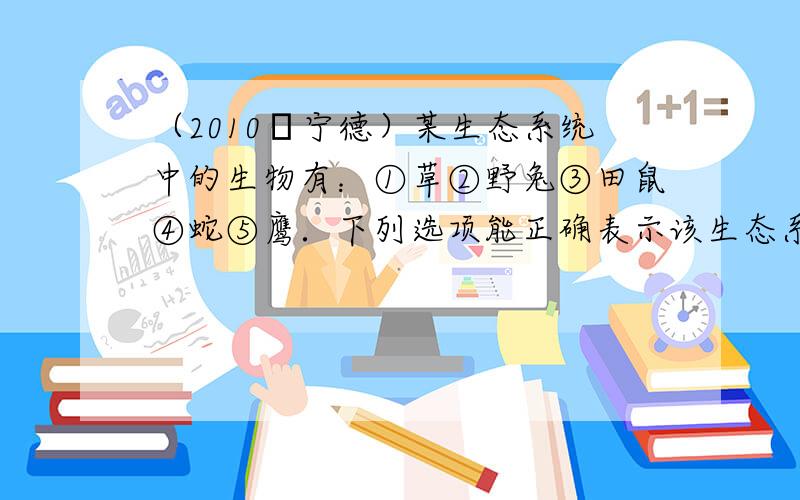 （2010•宁德）某生态系统中的生物有：①草②野兔③田鼠④蛇⑤鹰．下列选项能正确表示该生态系统食物网的是（　　）