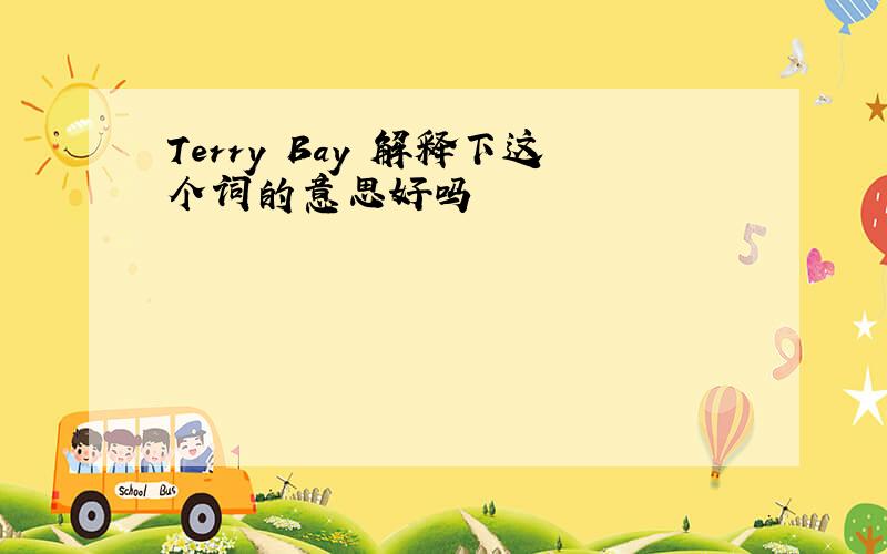 Terry Bay 解释下这个词的意思好吗