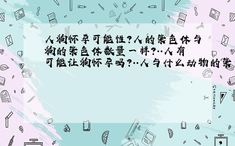 人狗怀孕可能性?人的染色体与狗的染色体数量一样?..人有可能让狗怀孕吗?..人与什么动物的染色体数量一样?...又有机会