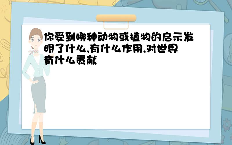 你受到哪种动物或植物的启示发明了什么,有什么作用,对世界有什么贡献