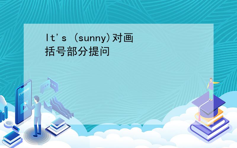 lt's (sunny)对画括号部分提问