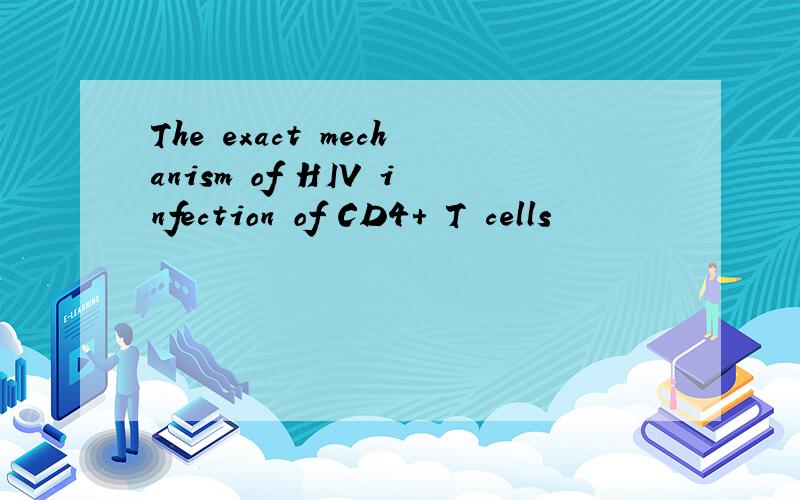 The exact mechanism of HIV infection of CD4+ T cells