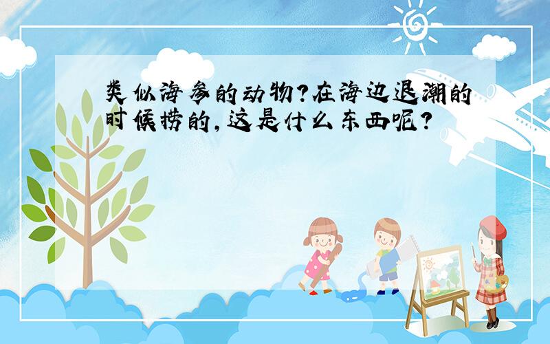 类似海参的动物?在海边退潮的时候捞的,这是什么东西呢?