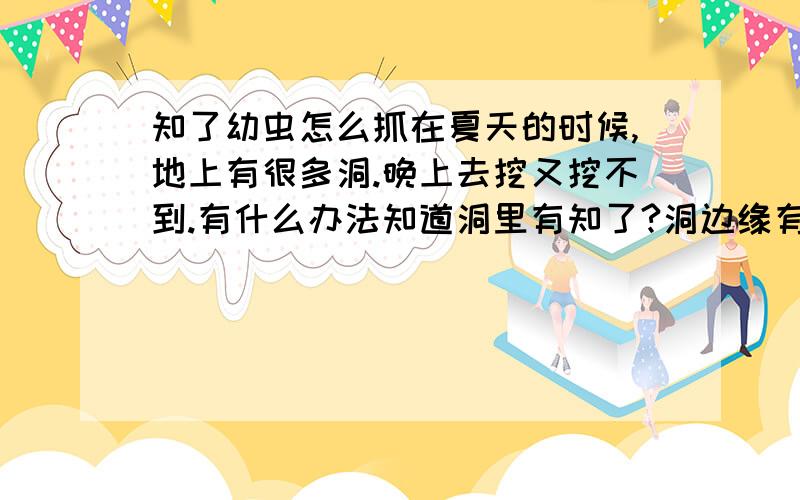 知了幼虫怎么抓在夏天的时候,地上有很多洞.晚上去挖又挖不到.有什么办法知道洞里有知了?洞边缘有像蚂蚁窝的白点点