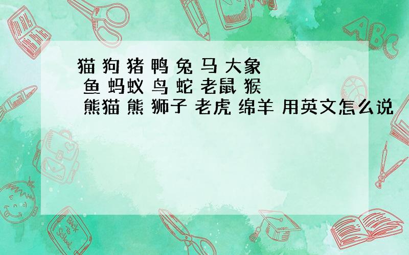 猫 狗 猪 鸭 兔 马 大象 鱼 蚂蚁 鸟 蛇 老鼠 猴 熊猫 熊 狮子 老虎 绵羊 用英文怎么说