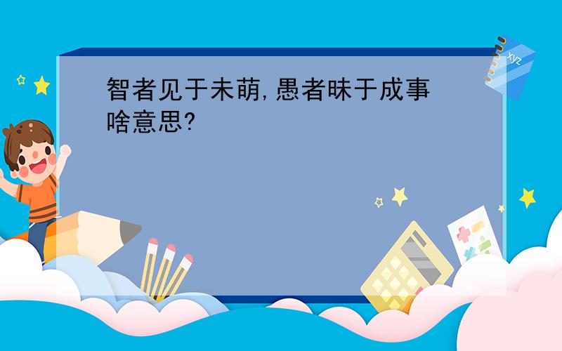 智者见于未萌,愚者昧于成事 啥意思?