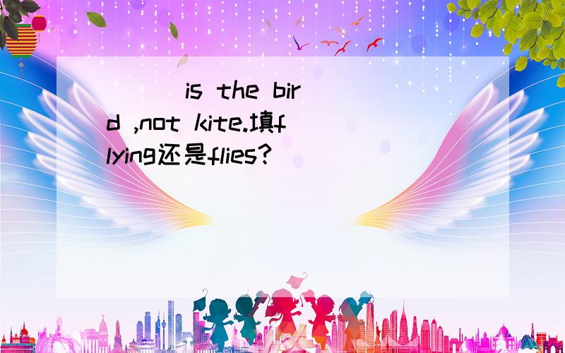 ( ) is the bird ,not kite.填flying还是flies?