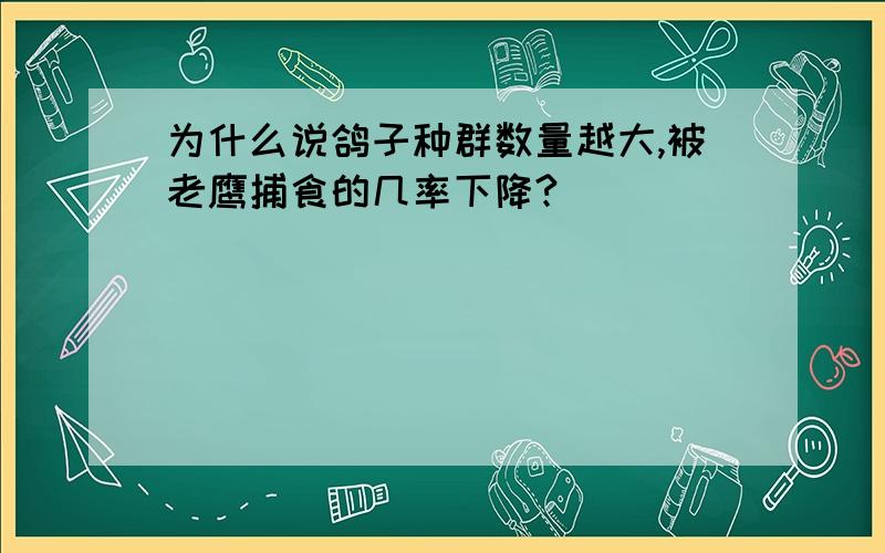 为什么说鸽子种群数量越大,被老鹰捕食的几率下降?