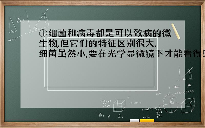 ①细菌和病毒都是可以致病的微生物,但它们的特征区别很大.细菌虽然小,要在光学显微镜下才能看得见,但